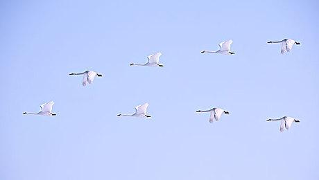 《荒野的召唤：垂钓者》新演示 风景如画闲情垂钓